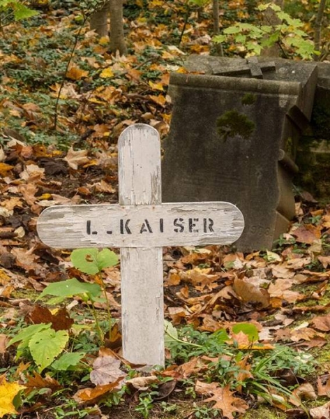 Irish Hollow Cemetery - Rockland, Michigan
