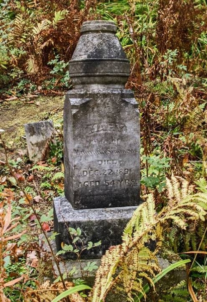 Irish Hollow Cemetery - Rockland, Michigan