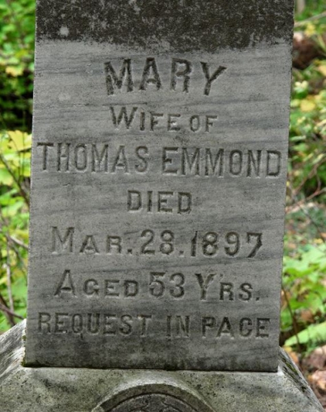 Irish Hollow Cemetery - Rockland, Michigan