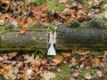 Irish Hollow Cemetery - Rockland, Michigan