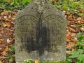 Irish Hollow Cemetery - Rockland, Michigan
