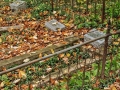 Irish Hollow Cemetery - Rockland, Michigan