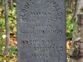 Irish Hollow Cemetery - Rockland, Michigan