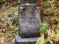 Irish Hollow Cemetery - Rockland, Michigan