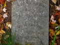 Irish Hollow Cemetery - Rockland, Michigan