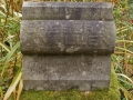 Irish Hollow Cemetery - Rockland, Michigan