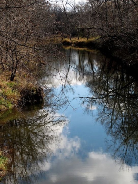 Reflections