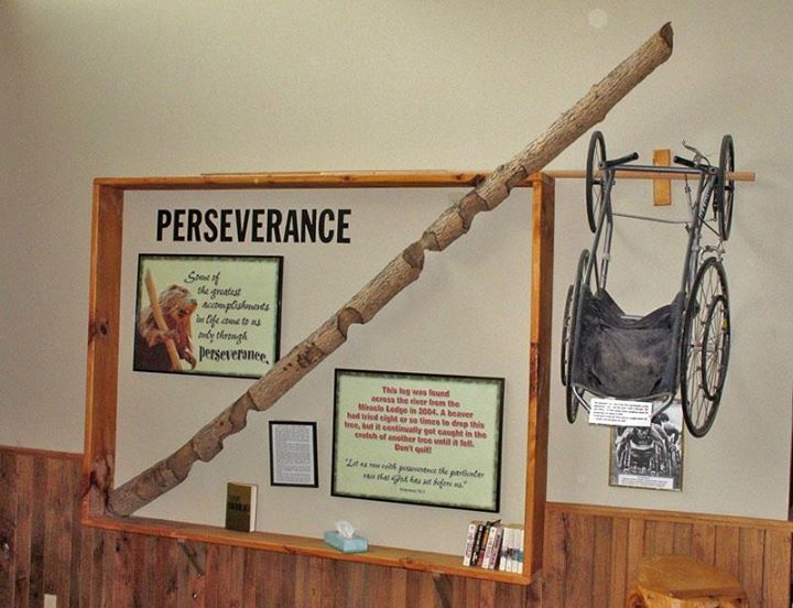 Perseverance