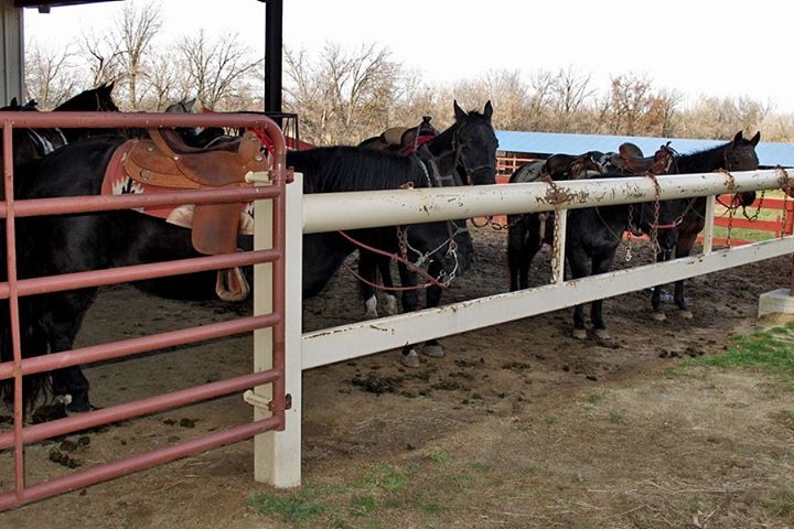 Castner Riding Arena