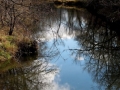 Reflections