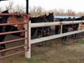 Castner Riding Arena