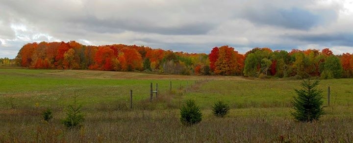 Along Michigan Highways