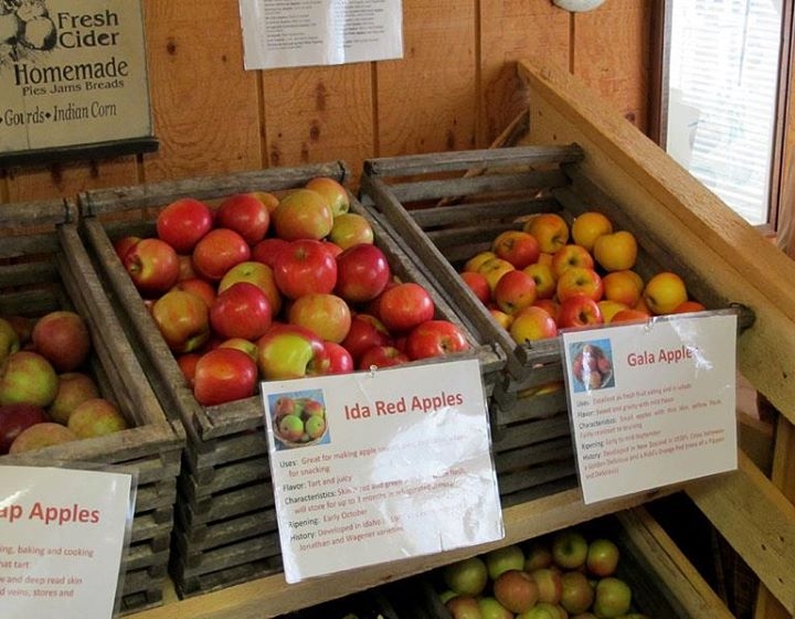 The Fruitful Orchard & Cider Mill