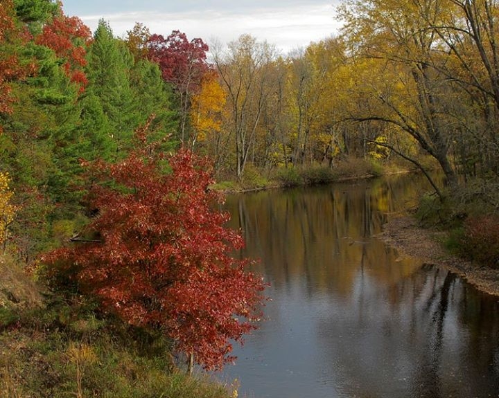 Muskegon River Colors - Leota, Michigan