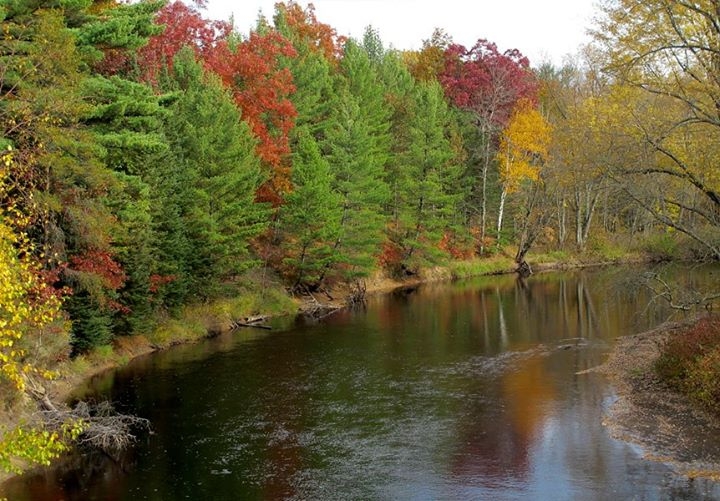 Muskegon River Colors - Leota, Michigan