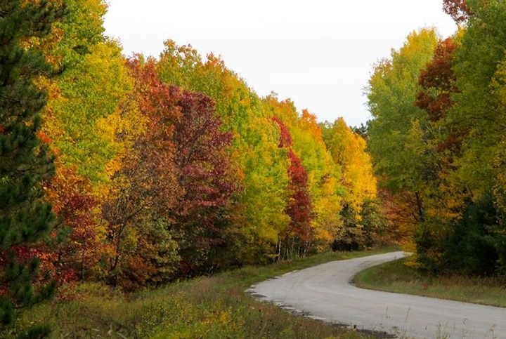 Along Michigan Highways