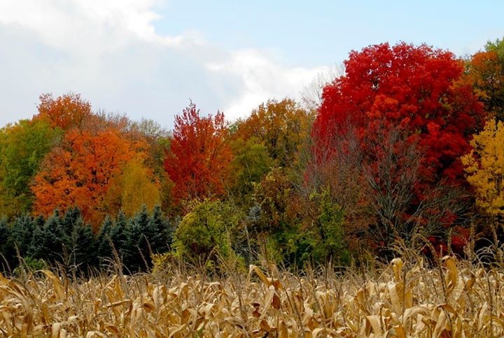 Along Michigan Highways