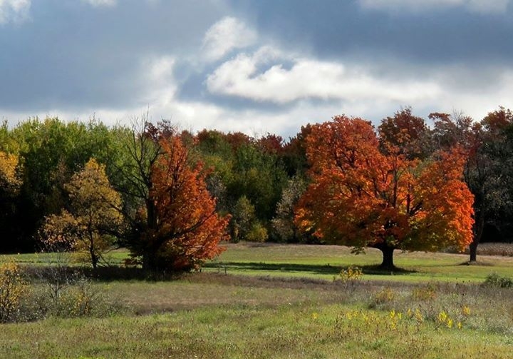 Along Michigan Highways