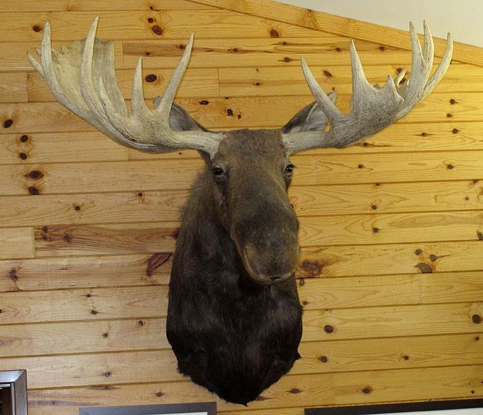 Carl T. Johnson Hunting and Fishing Center - Cadillac, Michigan