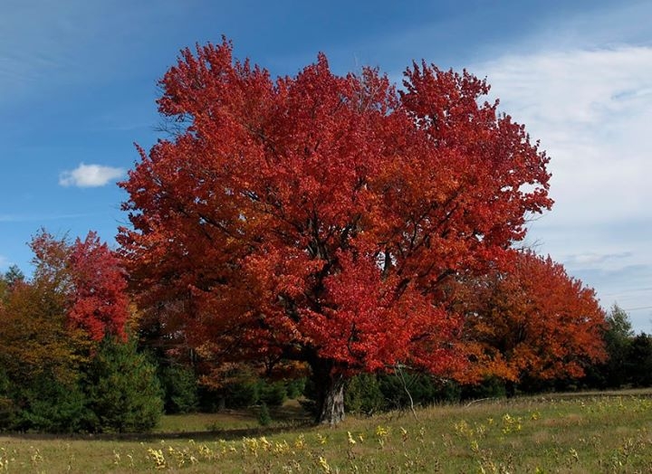 Along Michigan Highways