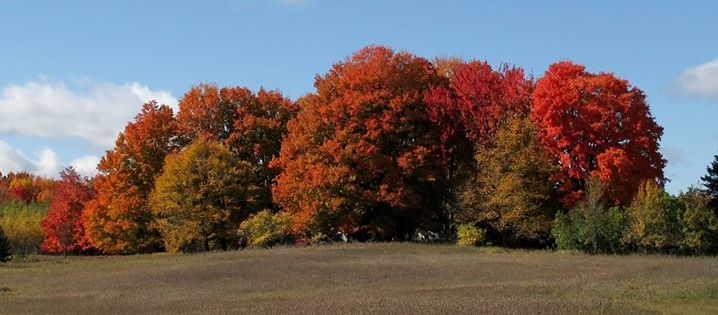 Along Michigan Highways