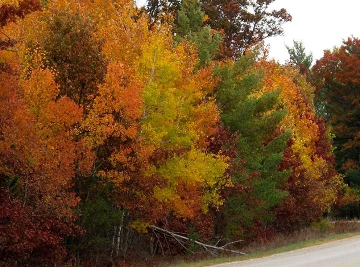 Along Michigan Highways