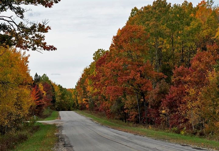 Along Michigan Highways