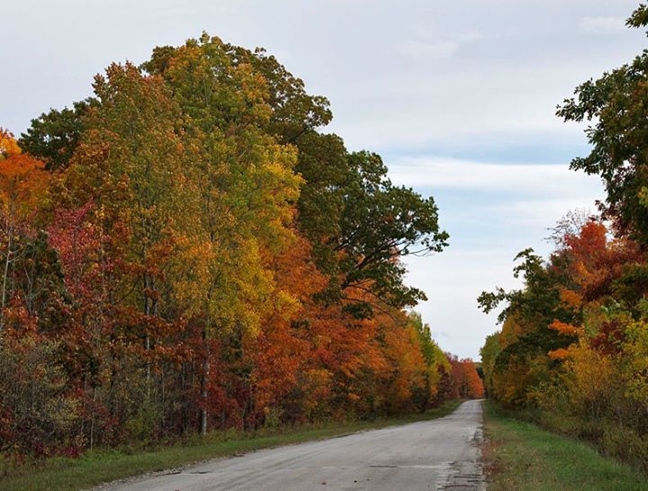 Along Michigan Highways