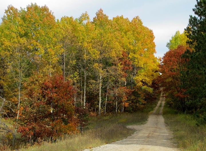 Along Michigan Highways