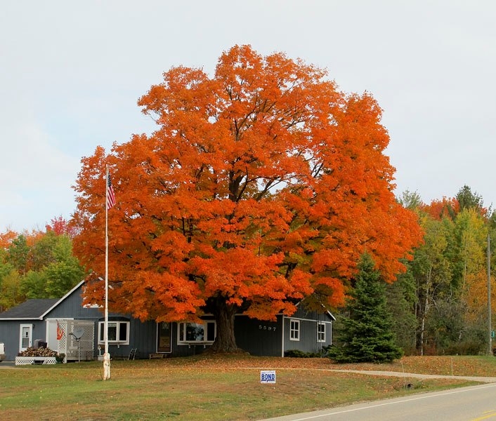 Along Michigan Highways