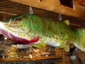 Carl T. Johnson Hunting and Fishing Center - Cadillac, Michigan