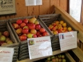 The Fruitful Orchard & Cider Mill