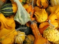 The Fruitful Orchard & Cider Mill