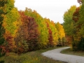Along Michigan Highways