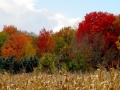 Along Michigan Highways