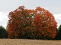 Along Michigan Highways