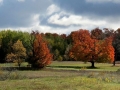 Along Michigan Highways