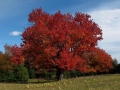 Along Michigan Highways