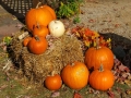 The Fruitful Orchard & Cider Mill