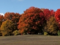 Along Michigan Highways