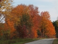 Along Michigan Highways