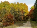 Along Michigan Highways