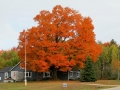 Along Michigan Highways