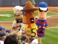 Milwaukee Brewers Baseball