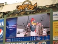 Milwaukee Brewers Baseball