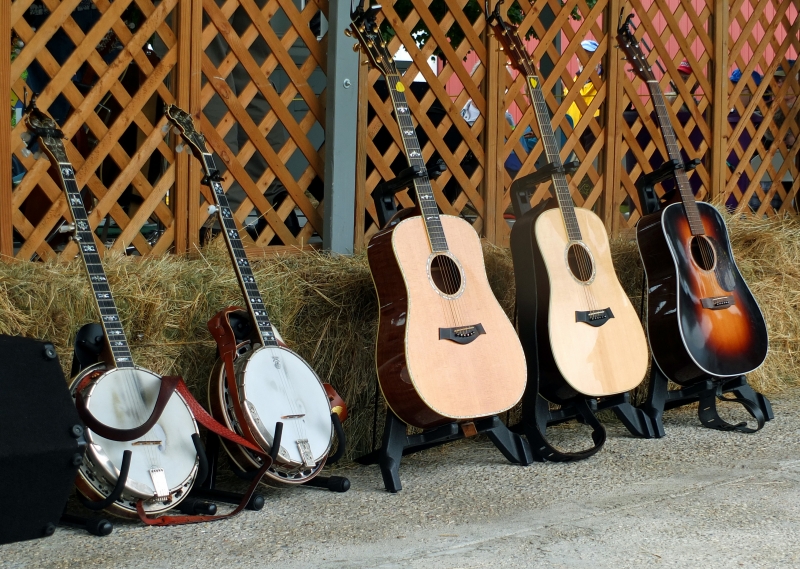 Pickin' Up Speed - 2013