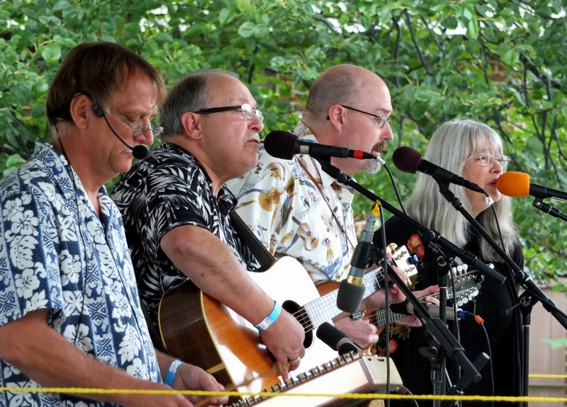 Roller Mills String Band - 2013