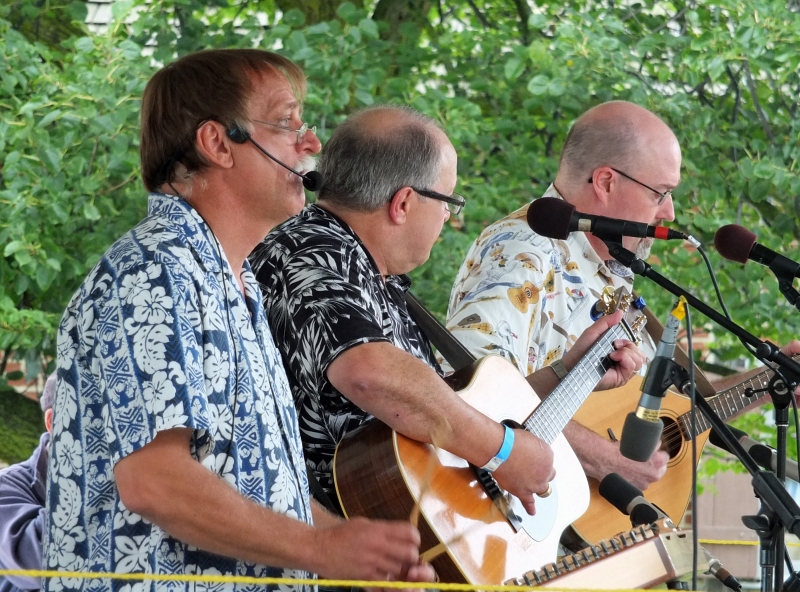 Roller Mills String Band - 2013