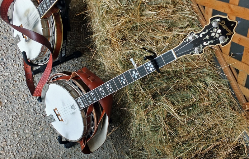 Roller Mills String Band - 2013
