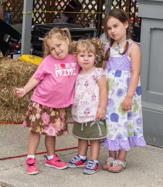 Bluegrass Festival - 2013